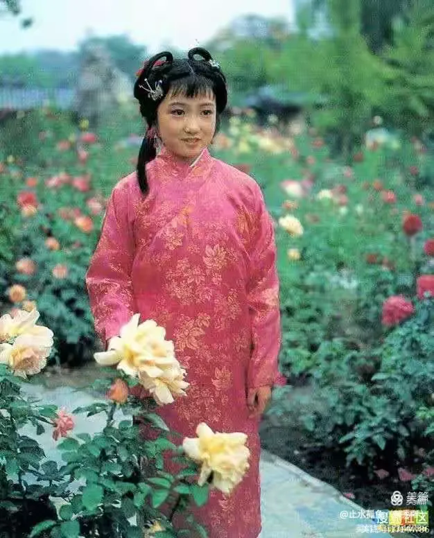 红楼梦中人（二）金陵十二钗，（本作品均已授权）善若水